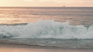 WAVE